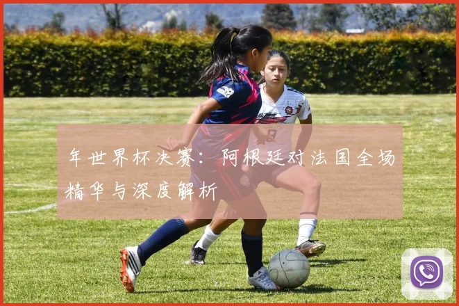 年世界杯决赛：阿根廷对法国全场精华与深度解析